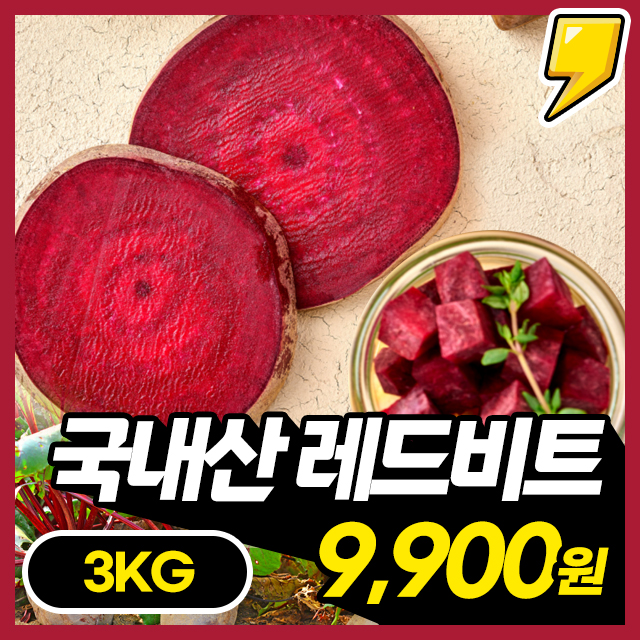 [레드비트] 영양가득! 붉은빛 아삭한 제주 레드 비트 3KG