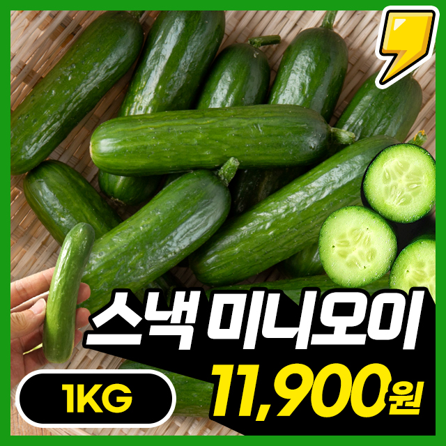 [미니오이] 앙증맞은 크기에 영양가득 아삭한 미니오이 1kg~