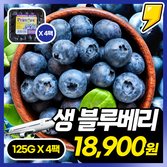 [항공직송] 톡톡 터지는 새콤달콤 생과 블루베리 125g X 4팩/6팩