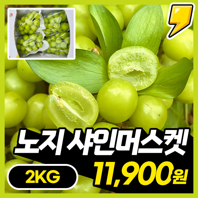 25년 제철맞은 달콤한 노지 샤인머스켓 2KG