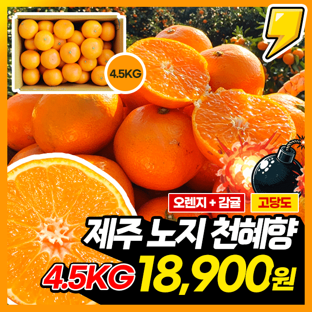 ★실중량★ 달콤한 제주 노지 천혜향 4.5KG (36-45과내외)
