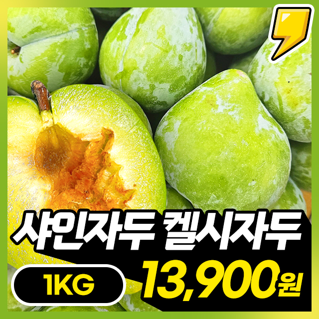 NEW 신품종! 자두계의 샤인머스켓 켈시 샤인자두 1kg~