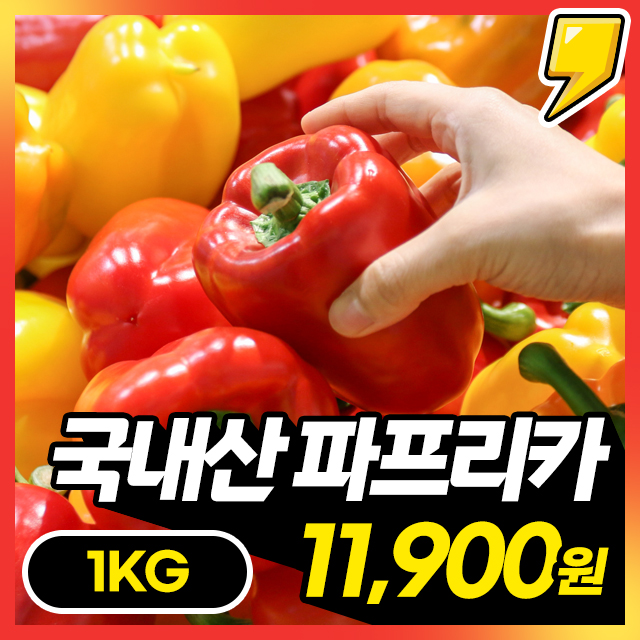 [파프리카] 아삭아삭 싱싱한 국내산 가정용 파프리카 1KG