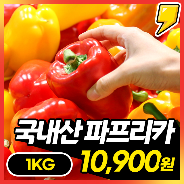 [파프리카] 아삭아삭 싱싱한 국내산 가정용 파프리카 1KG