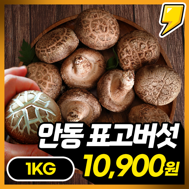 [표고버섯] 무농약/안동 특산품 영양좋은 표고버섯 1KG