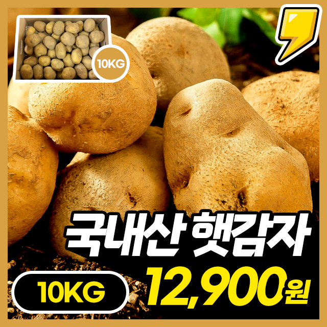 [100% 국내산] 포슬포슬 맛있는 국내산 햇 감자 10KG