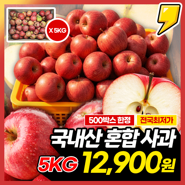★지금만 이가격★ 아삭달콤! 국내산 햇 사과 (혼합) 5KG 초특가