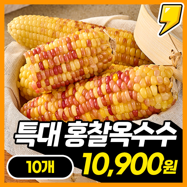 [특대사이즈] 쪄서가는 프리미엄 특대 홍찰옥수수 무려 10개!
