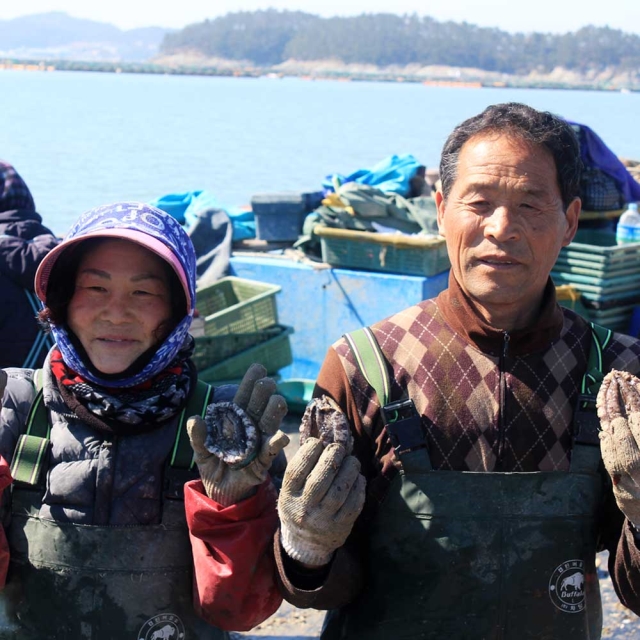 산지직송 완도 활전복 1kg 산소포장 신선도유지 최상급