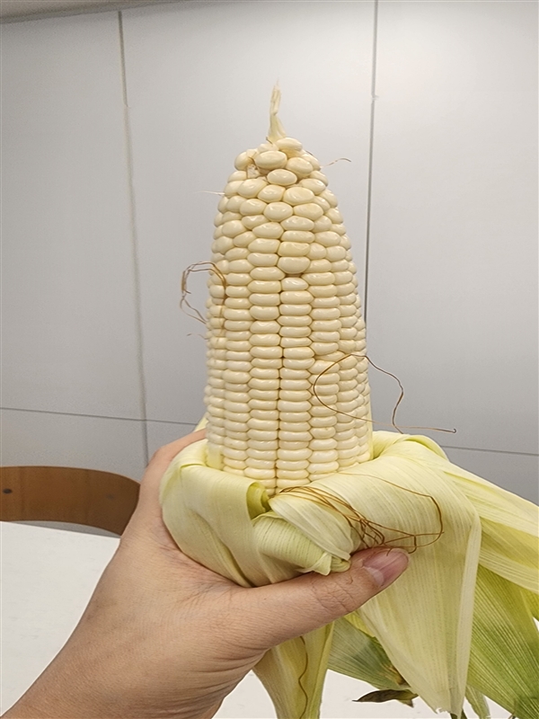 20250718052301621_20250718_155652.jpg