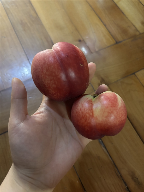 20250704101819516_IMG_9347.jpeg