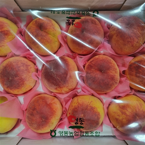 KakaoTalk_20250729_093130555.jpg