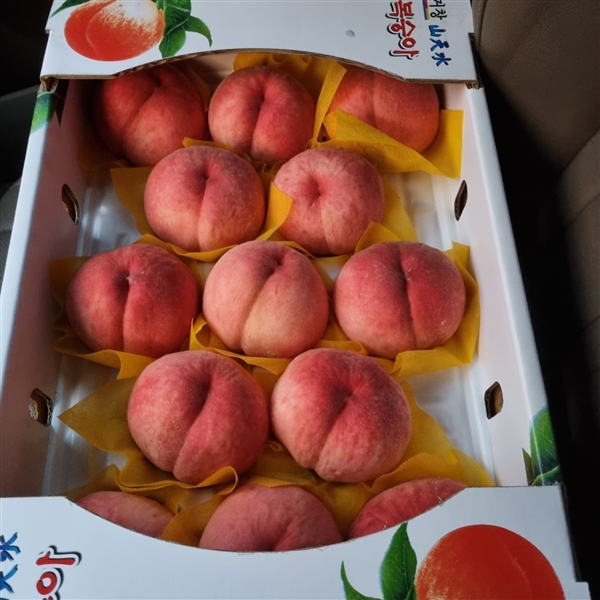KakaoTalk_20250729_110619869.jpg