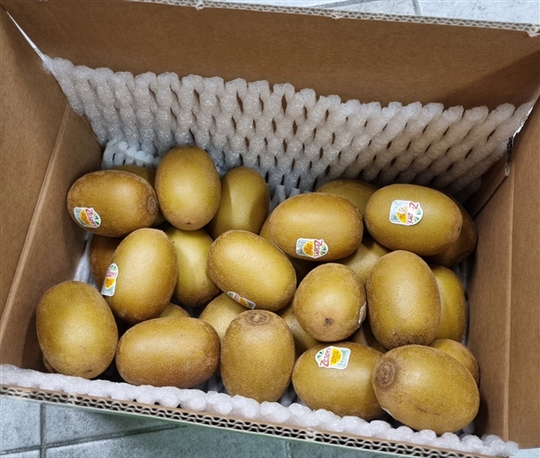 KakaoTalk_20250804_093421278.jpg