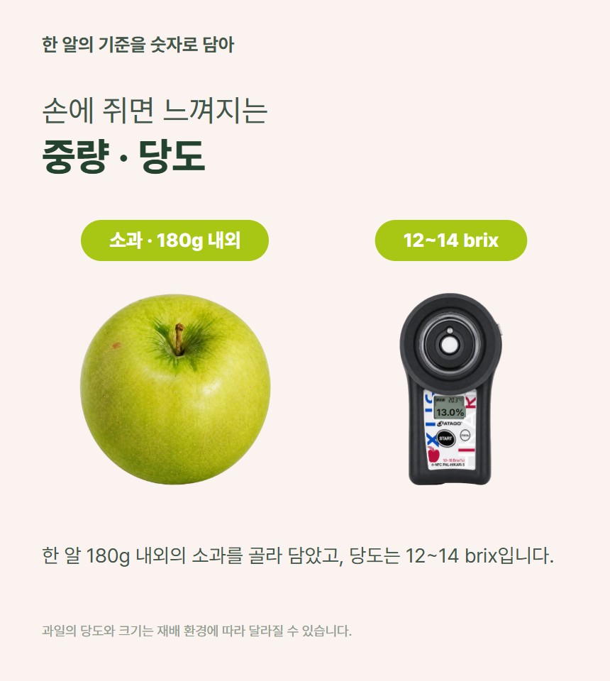 청사과 06