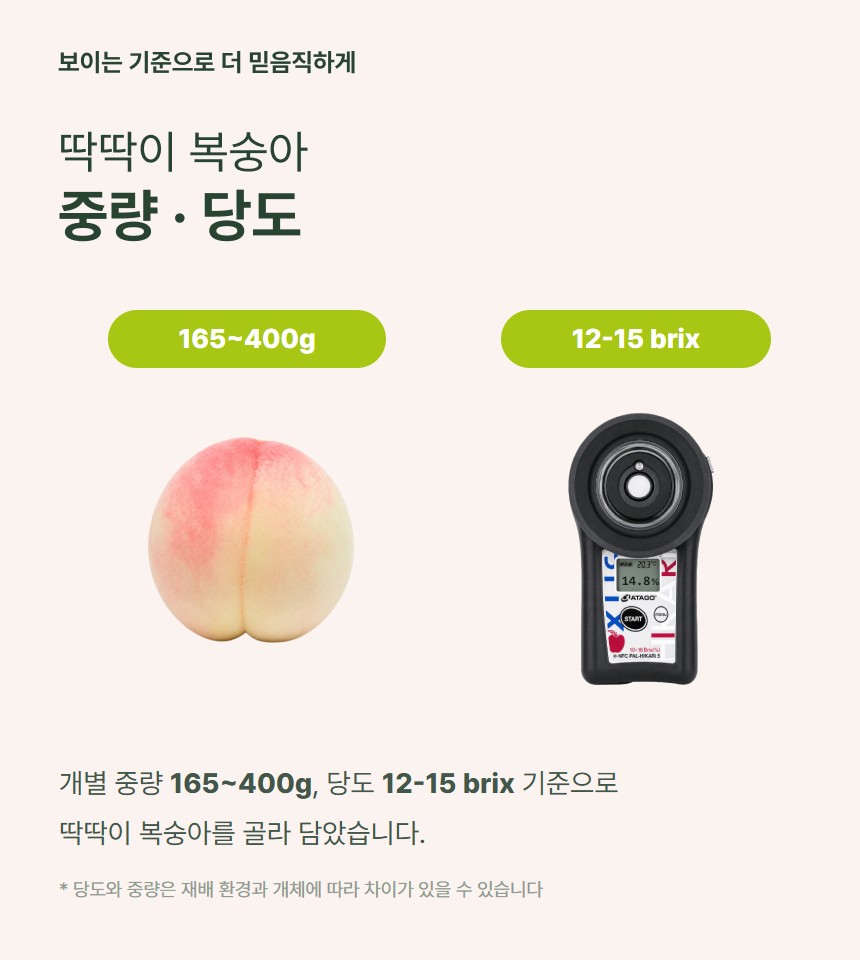 딱딱이 복숭아 06
