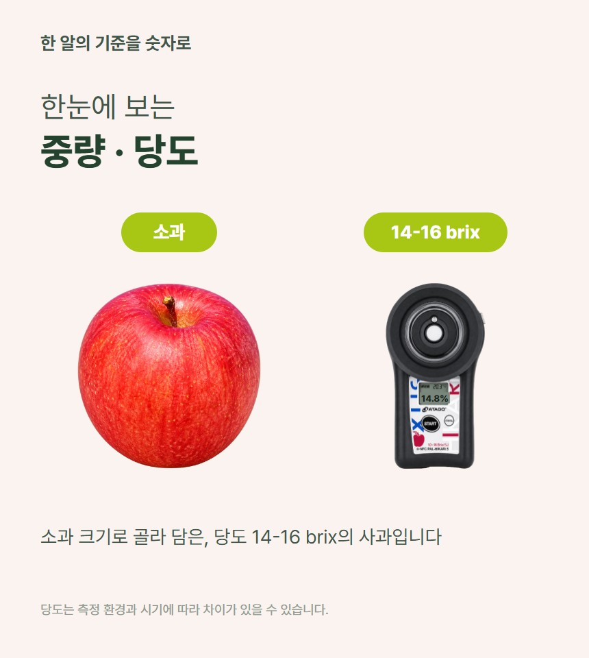 홍로 햇사과 06