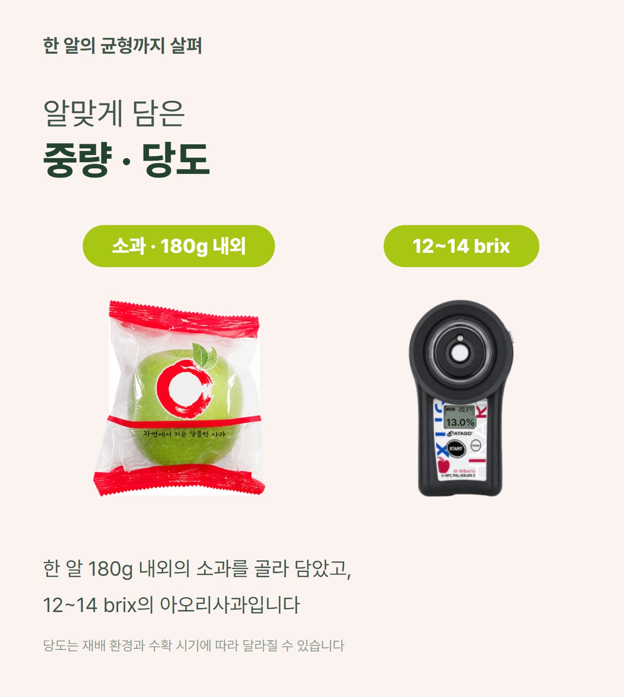 세척 아오리 06