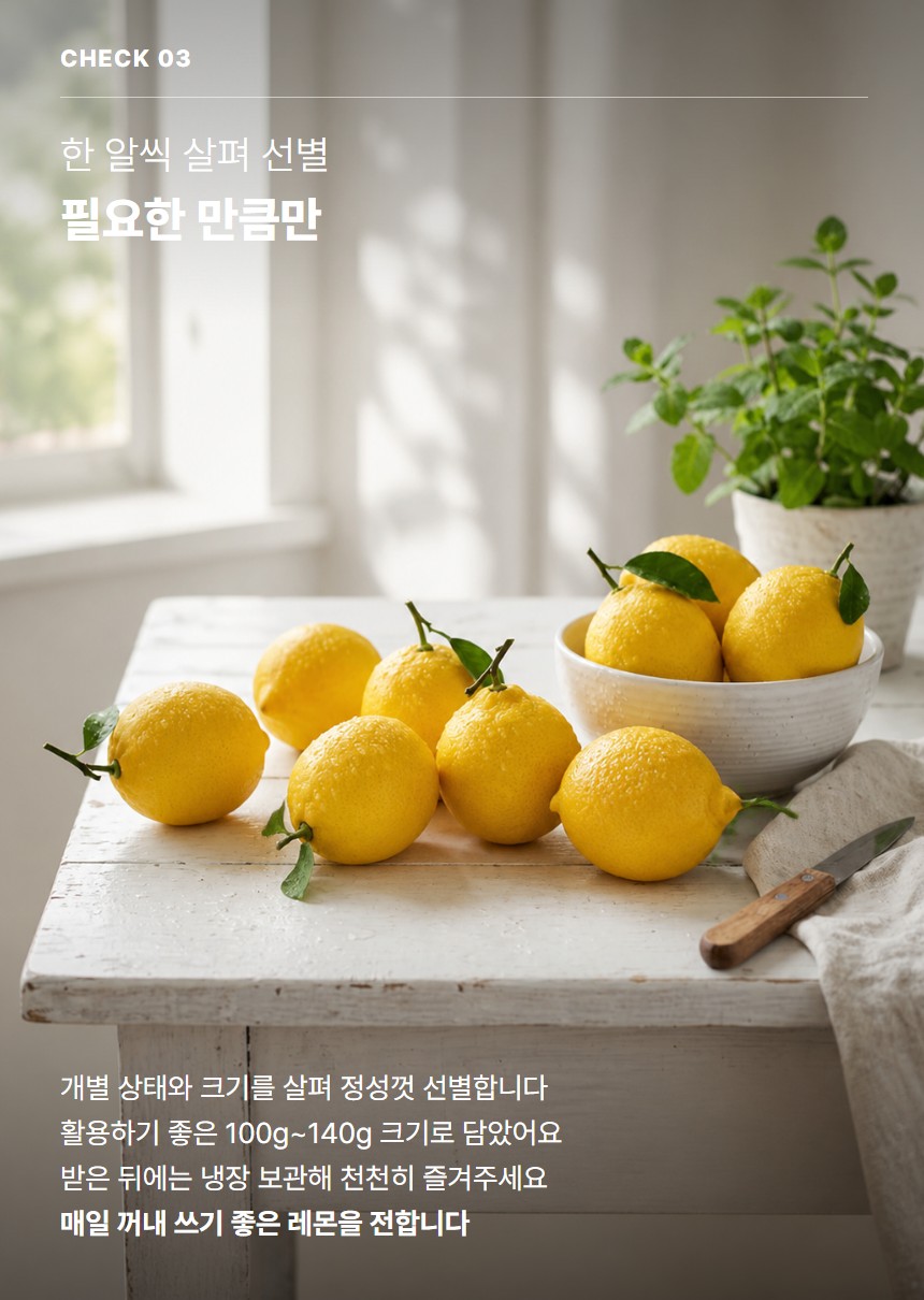 레몬 05