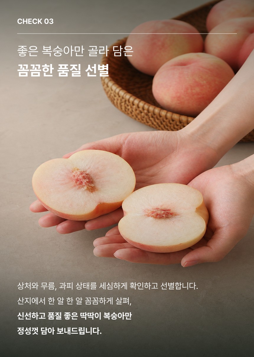 딱딱이 복숭아 05