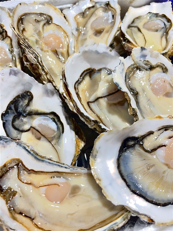 하프쉘 굴 클로즈업 사진